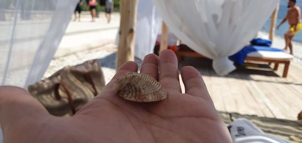 Close-up of hands holding table
