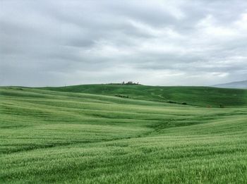 Scenic view of agricultural field against sky