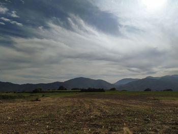 Scenic view of field against sky