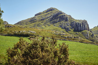 Scenic view of landscape against clear sky