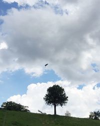 Low angle view of trees against cloudy sky