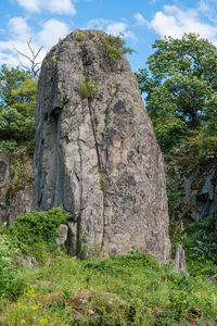 Low angle view of rock amidst trees against sky