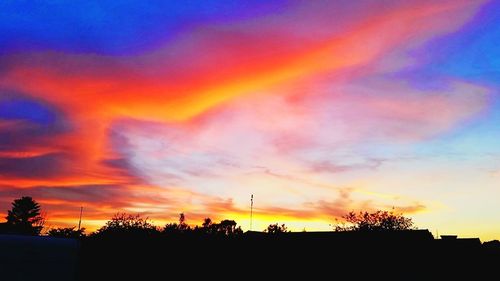 Silhouette of trees at sunset