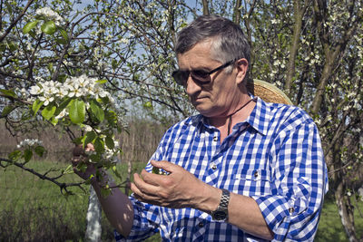 Farmer in his orchard control the quality of flowering fruit trees.