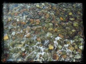 Rocks in sea