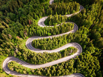 Aerial view of winding road in high mountain pass trough dense green pine woods.