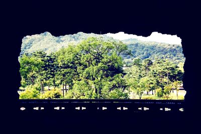 View of trees and mountains