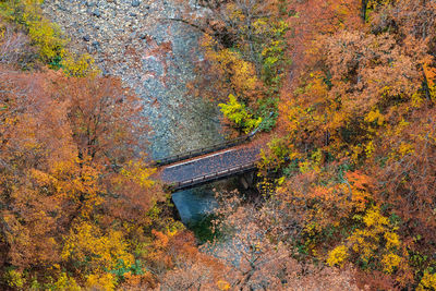 Autumn foliage scenery. aerial view of valley and stream in fall season. colorful forest trees