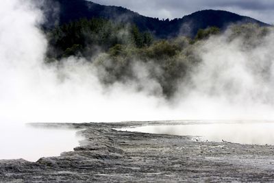 Steam emitting from hot springs at waiotapu