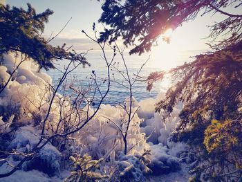 Scenic view of frozen sea against sky