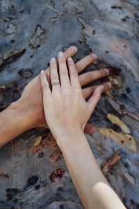 Cropped hands of couple on tree trunk