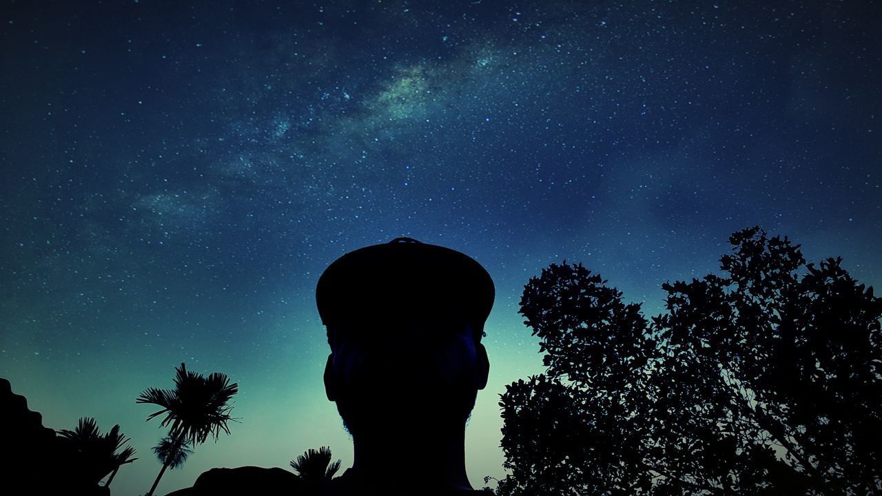 LOW ANGLE VIEW OF SILHOUETTE MAN AGAINST TREES AT NIGHT