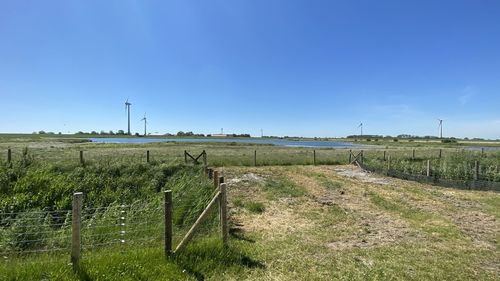 Scenic view of field against clear blue sky and a lake