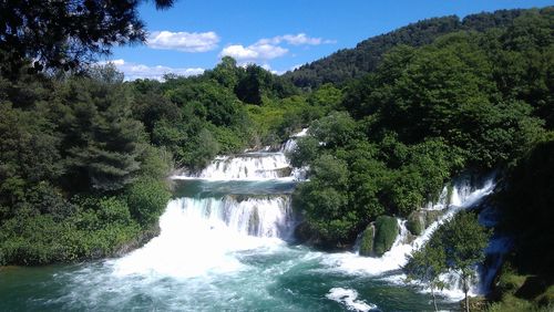 Scenic view of river flowing through forest