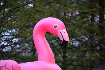 Close-up of a toy bird