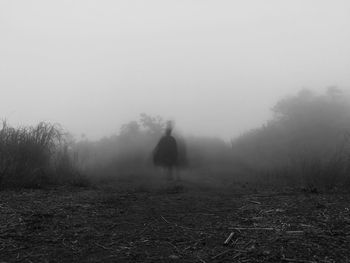 Person walking on field during foggy weather