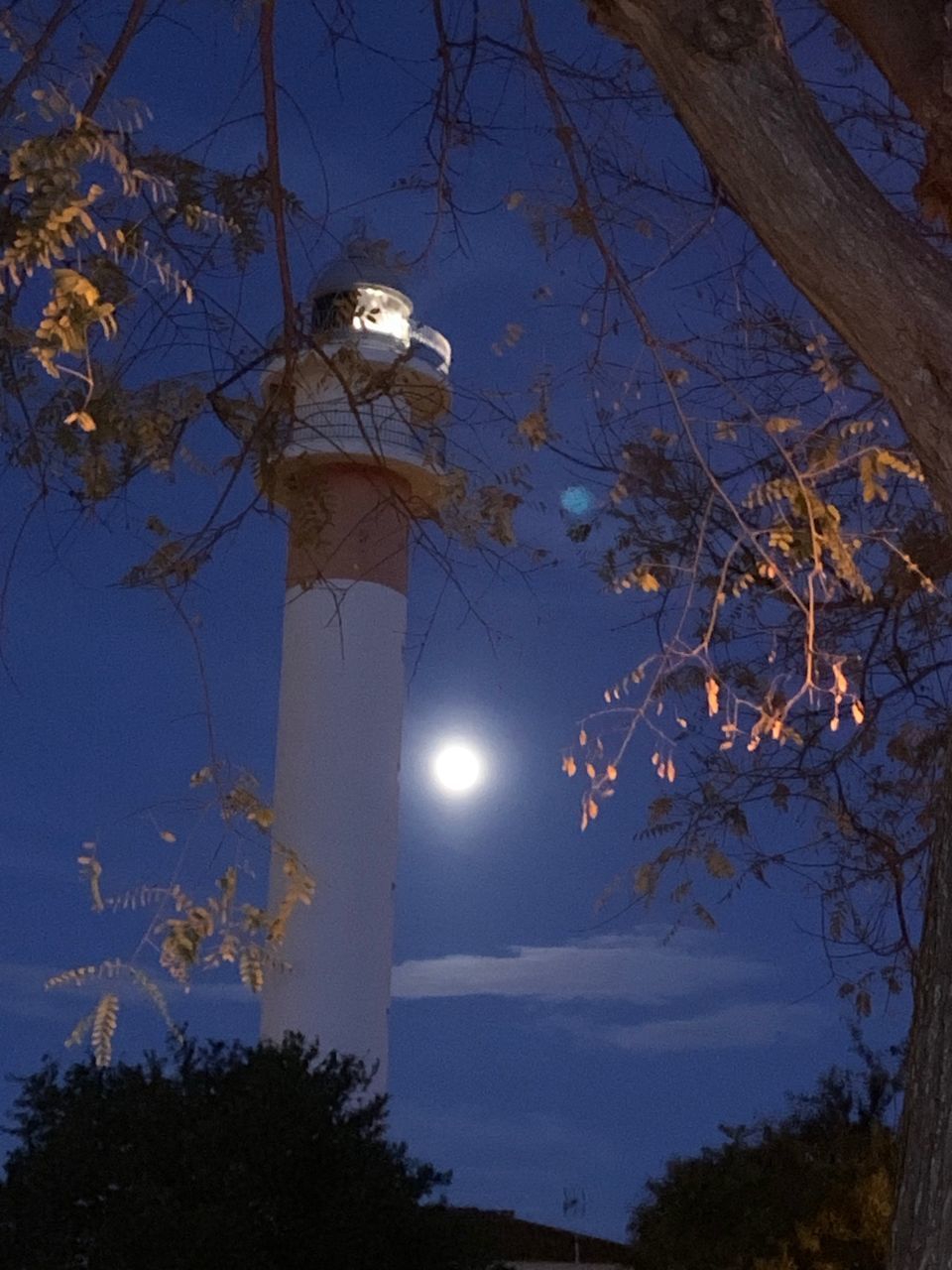 LOW ANGLE VIEW OF STREET LIGHT AGAINST SKY AT NIGHT