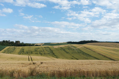 Scenic view of agricultural field against sky