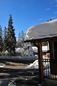 Snow covered trees against sky