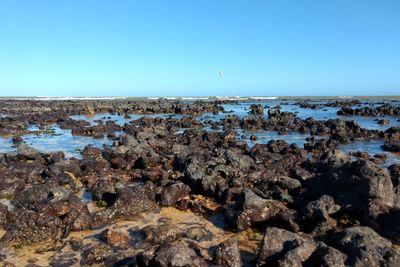 Scenic view of sea against clear blue sky