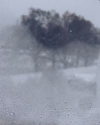 Close-up of water drops on glass window