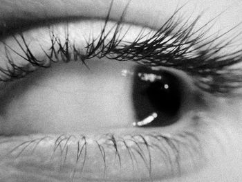 Close-up of human eye