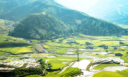 Aerial view of agricultural field