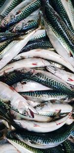 Fish for sale at market stall