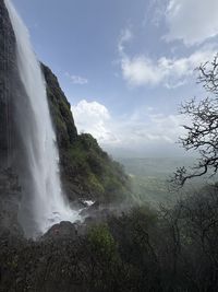 beauty in nature