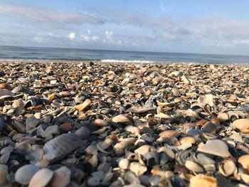 Close-up of pebbles on beach against sky