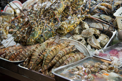 High angle view of fish for sale at market