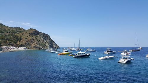 Sailboats moored on sea against clear blue sky