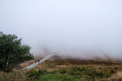 Scenic view of field against fog