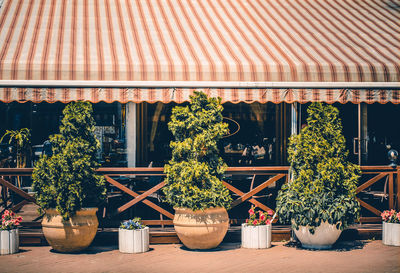 Potted plants in front of building