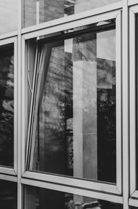 window