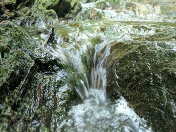 High angle view of waterfall in forest