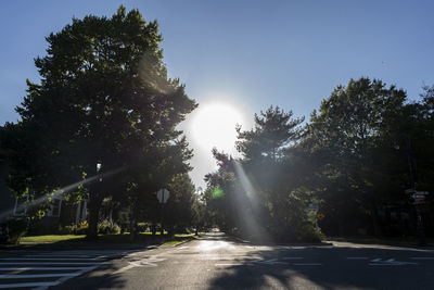 Sunlight streaming through trees on road during sunny day