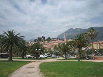 Palm trees in city against sky