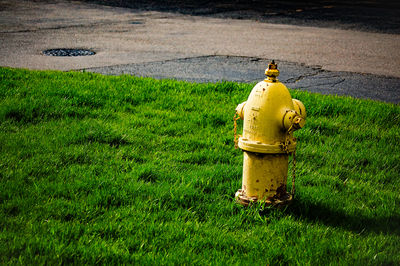 fire hydrant