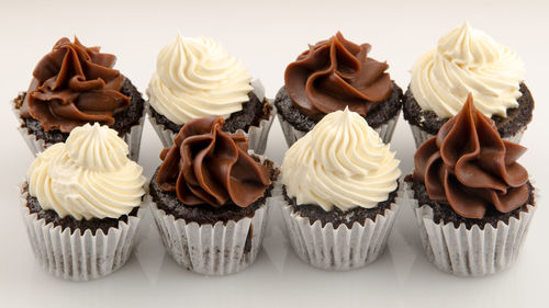 Miniature chocolate cupcakes with chocolate and vanilla topping