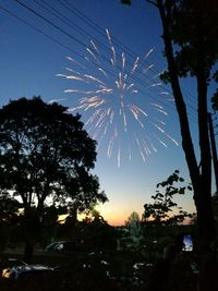 Low angle view of firework display at night