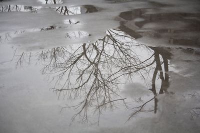 High angle view of frozen water