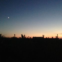 Silhouette trees against sky during sunset