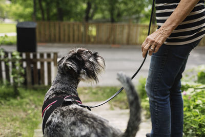 Midsection of senior woman standing with dog at yard
