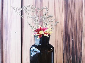 Close-up of flowers in vase