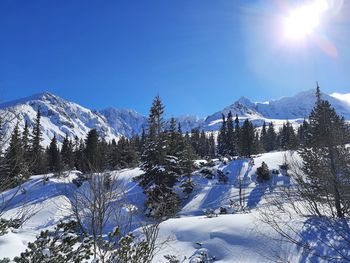 snow