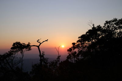 Silhouette trees against sky during sunset