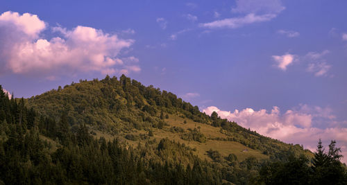 Panoramic view of landscape against sky