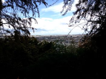 Trees on landscape against sky