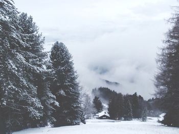 Scenic view of snow covered landscape